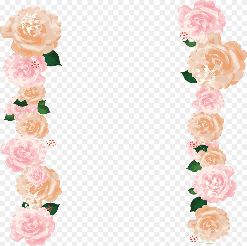 Garden Roses Border Flowers Pink Pink Rose Border, Flower, Flower Arrangement, Plant, Carnation Png