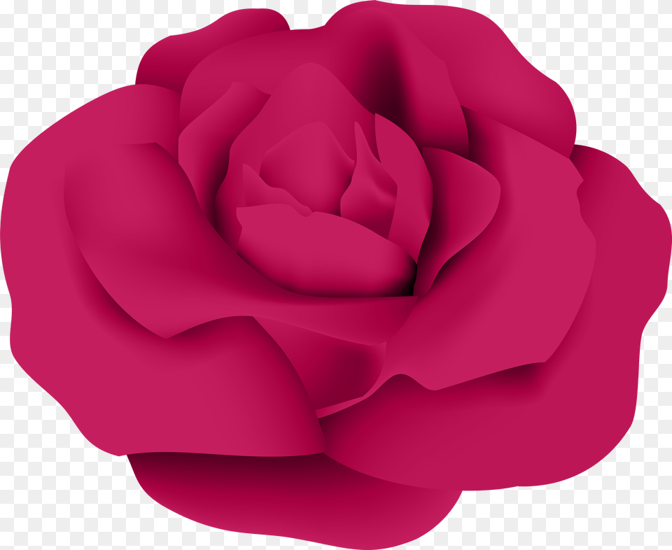 Garden Roses Centifolia Roses Clip Art, Flower, Plant, Rose, Petal Free Png