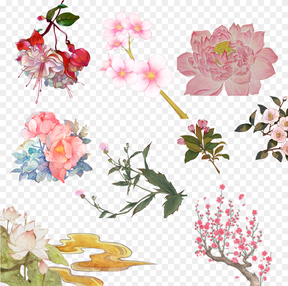 Garden Roses Download Prickly Rose, Geranium, Plant, Petal, Flower Png