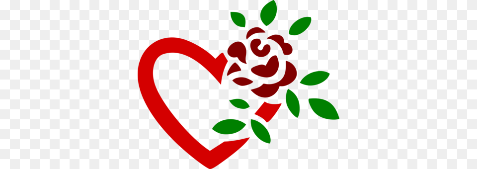 Garden Roses English Rose Download Rose Family Rose Garden Free, Flower, Plant, Dynamite, Weapon Png Image