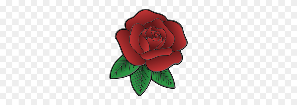 Garden Roses Flower Drawing Rose Family, Plant, Dynamite, Weapon Png