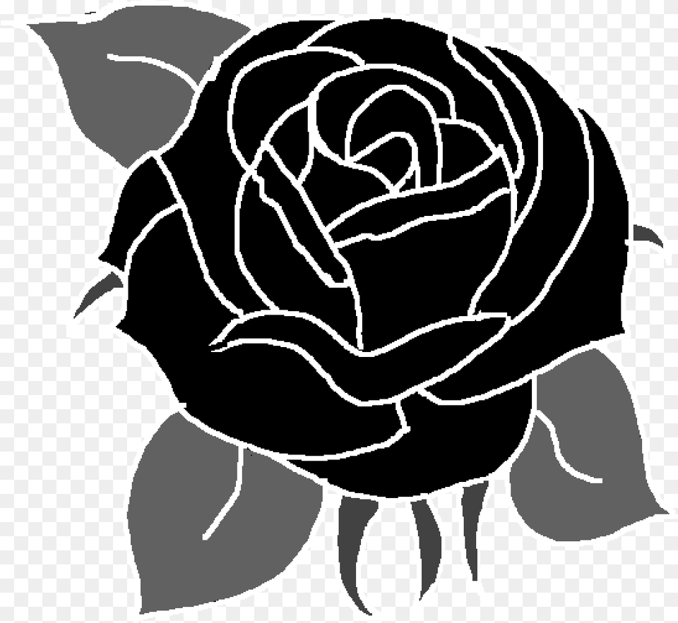 Garden Roses Illustration, Flower, Plant, Rose, Stencil Png Image