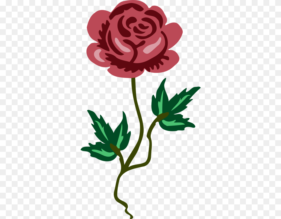 Garden Roses Leaf Flower Petal Daun Dan Bunga, Carnation, Plant, Rose, Person Free Transparent Png