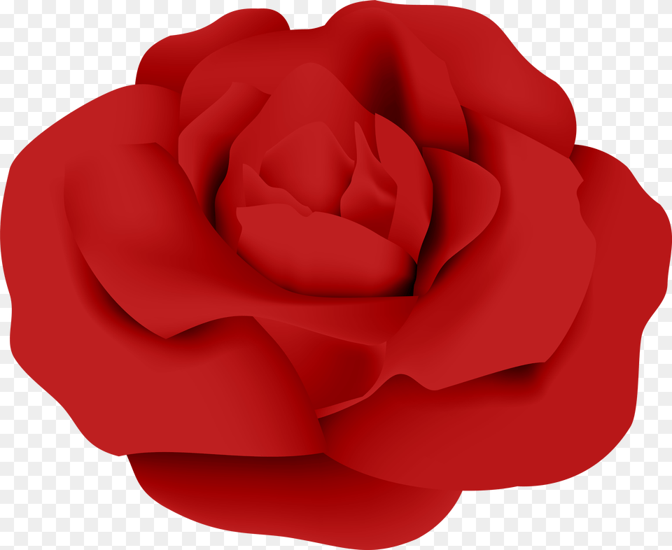 Garden Roses Red Petal, Flower, Plant, Rose Free Png Download