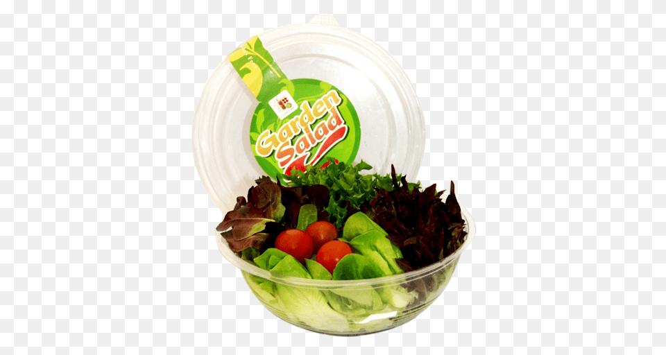 Garden Salad, Food, Lunch, Meal, Plate Free Png