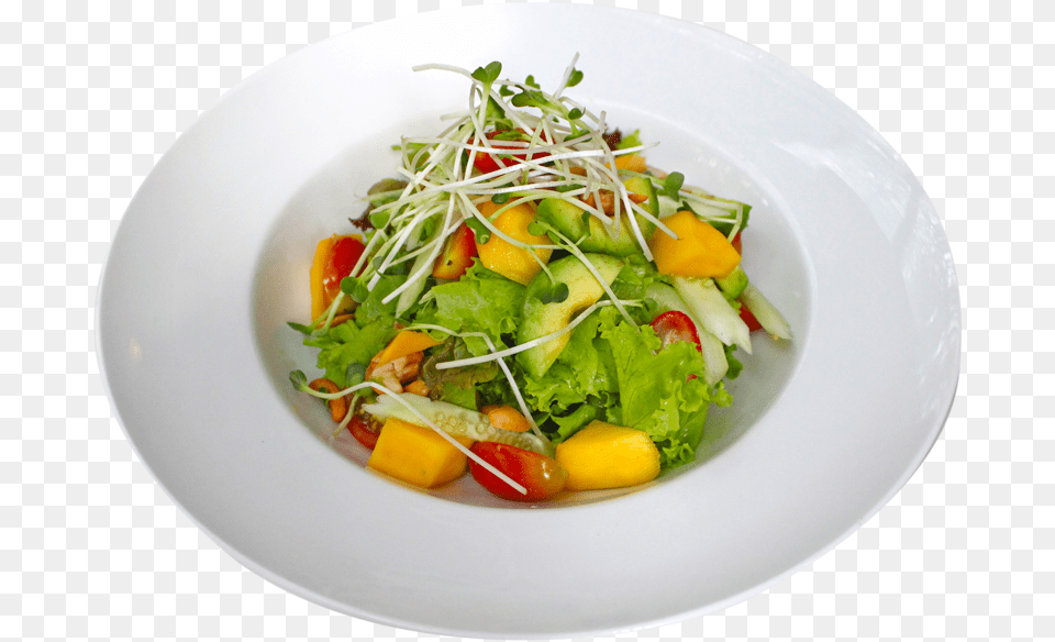 Garden Salad, Food, Food Presentation, Plate, Meal Free Transparent Png