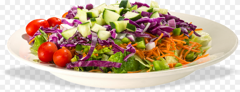 Garden Salad, Plate, Food, Food Presentation, Lunch Png Image