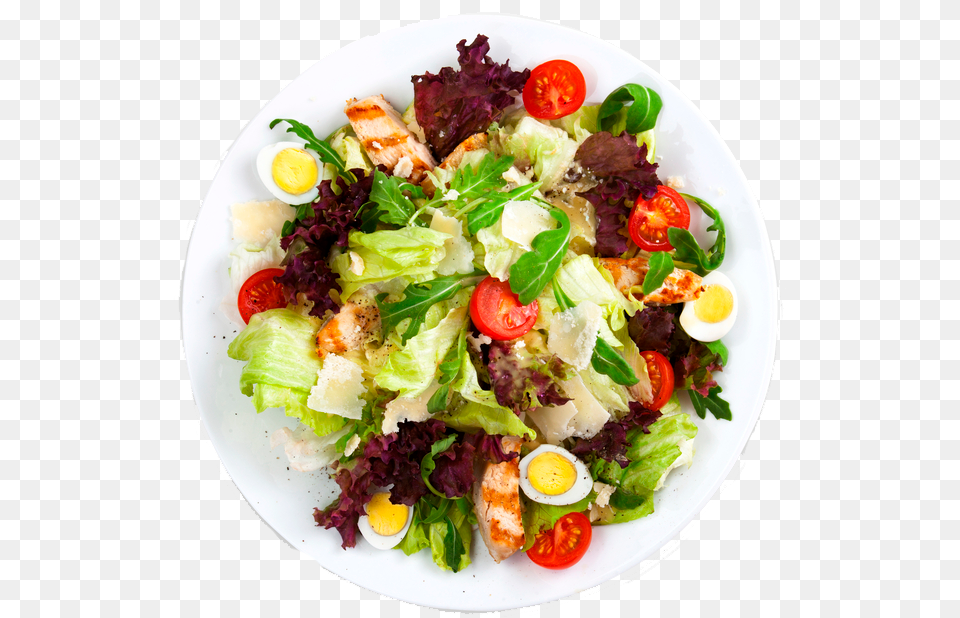 Garden Salad, Dish, Food, Food Presentation, Lunch Free Png Download