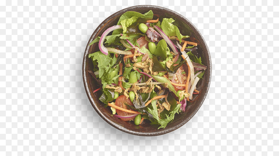 Garden Salad, Food, Meal, Dish, Lunch Free Transparent Png