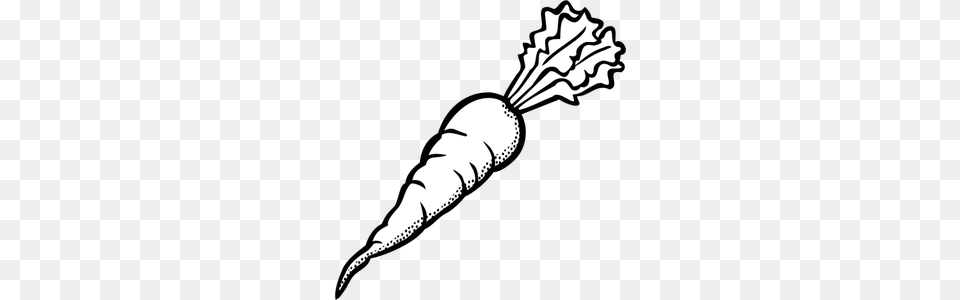 Garden Shovel Clipart, Carrot, Food, Plant, Produce Free Png