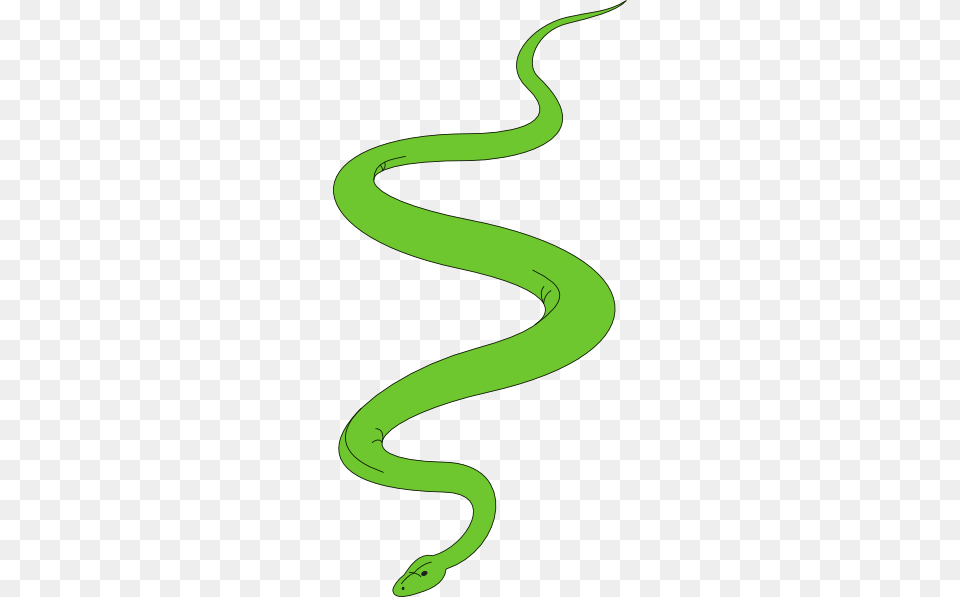 Garden Snake Clip Art, Animal, Reptile, Green Snake Free Transparent Png