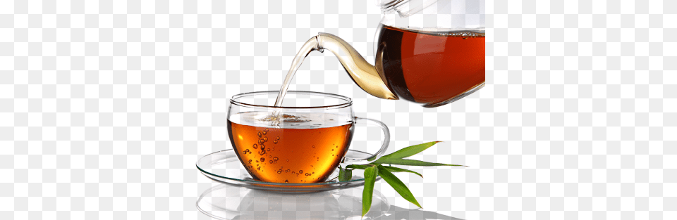 Garden To Your Cup Cup Of Rooibos Tea, Beverage, Pottery, Smoke Pipe Free Transparent Png