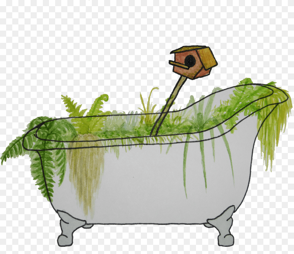 Garden Tuba Watercolor And Ink Stylistic Experiment, Bathing, Bathtub, Tub, Person Free Png Download