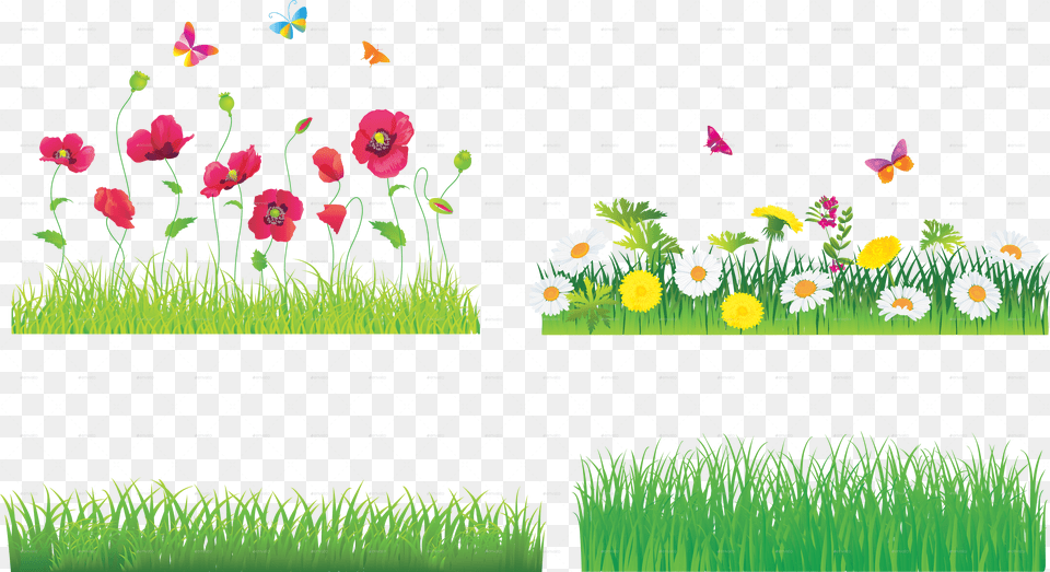 Garden Vector Picture Flowers And Grass, Daisy, Plant, Flower, Petal Free Transparent Png
