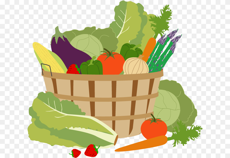 Garden Vector Vegetable Vegetable Garden Clipart, Basket, Carrot, Food, Plant Png Image