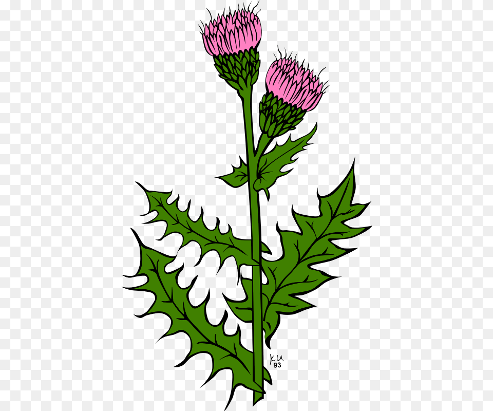 Garden Weeds Clipart Weeds Clip Art, Flower, Plant, Thistle Free Png Download