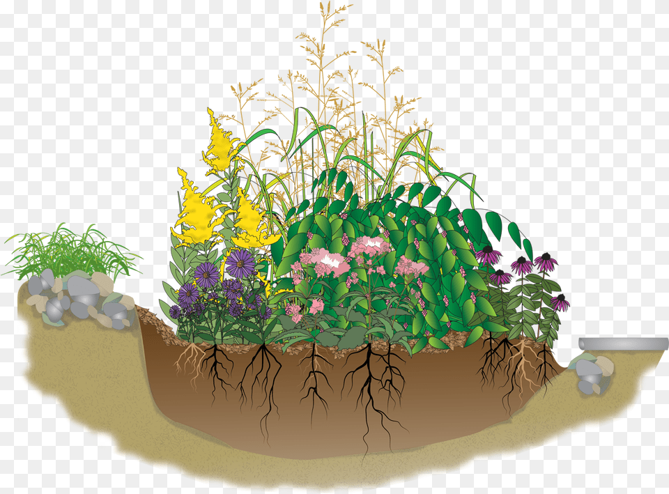Gardener Clipart Container Gardening Rain Garden Clip Art, Planter, Vase, Pottery, Jar Png