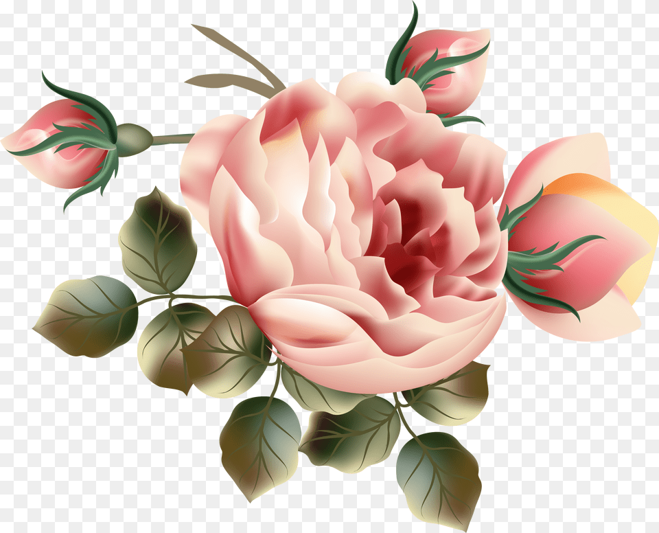 Gardener Clipart Planted Flower Hybrid Tea Rose Free Png Download