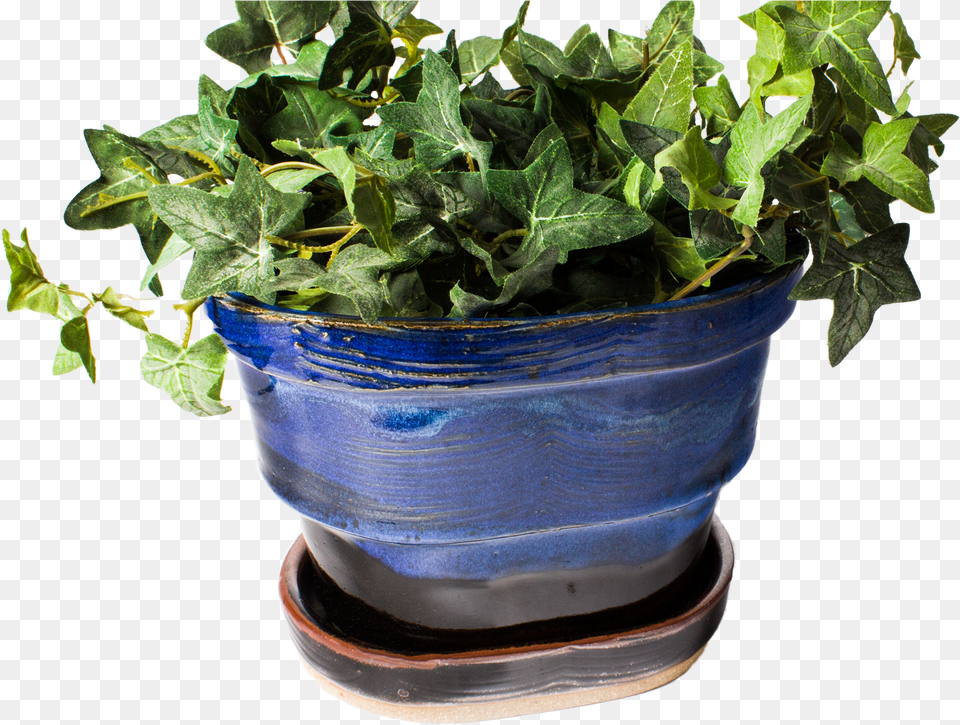 Gardener Clipart Planter Flowerpot, Leaf, Plant, Potted Plant, Ivy Png Image