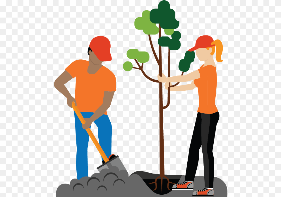Gardener Plant Tree Program Clipart, Planting, Person, Clothing, Hat Free Png Download