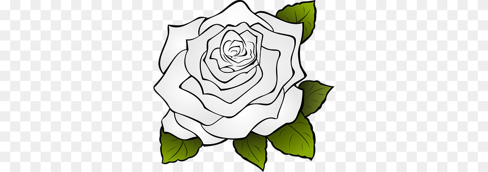 Gardenia Drawing White Rose Bunga Mawar Icon, Flower, Plant, Art, Smoke Pipe Png Image