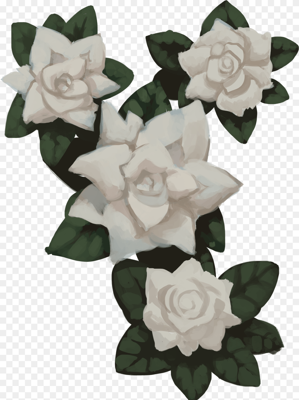 Gardenia Gardenia Transparent, Flower, Plant, Rose Free Png Download