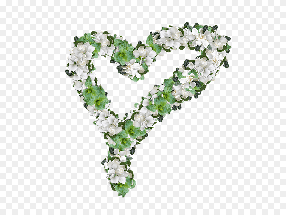 Gardenias Accessories, Flower, Flower Arrangement, Plant Free Png