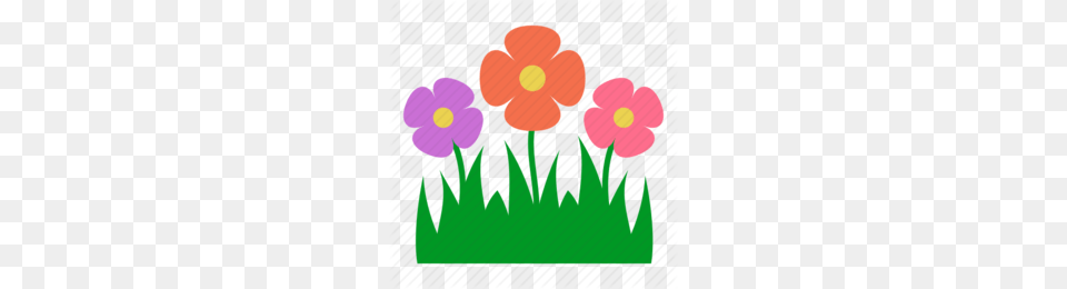 Gardening Clipart, Anemone, Flower, Petal, Plant Free Png