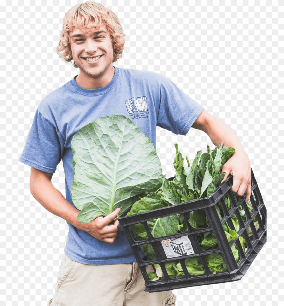 Gardening Cutout, Adult, Person, Man, Male Png