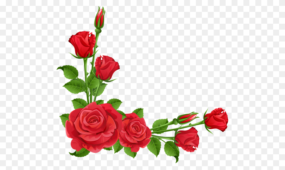 Gardening Flowers Red, Flower, Plant, Rose, Flower Arrangement Free Png