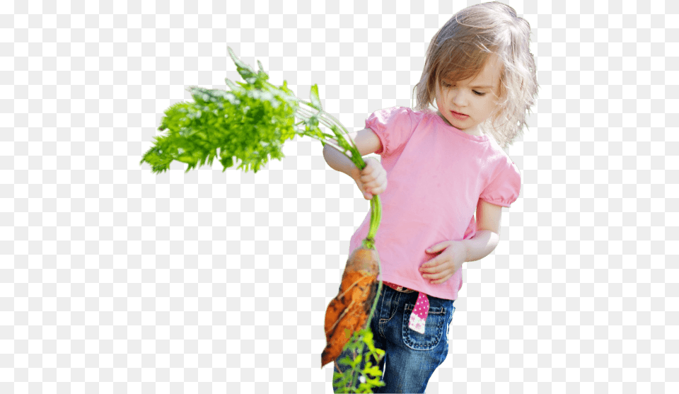 Gardening For Beginners Kids Gardening, Carrot, Produce, Plant, Person Png