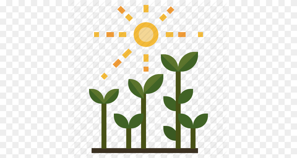 Gardening Growing Sunbeams Sunlight Sunny Icon Png