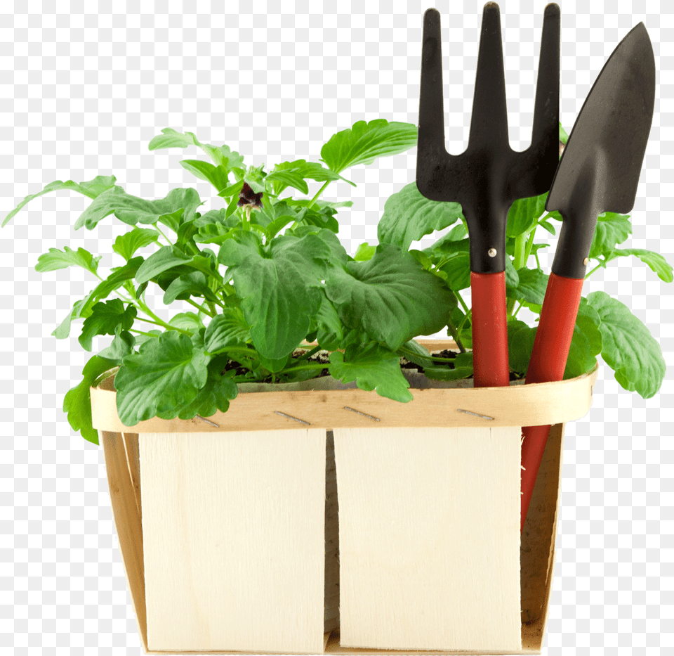 Gardening Tool Box, Vase, Pottery, Potted Plant, Planter Png Image