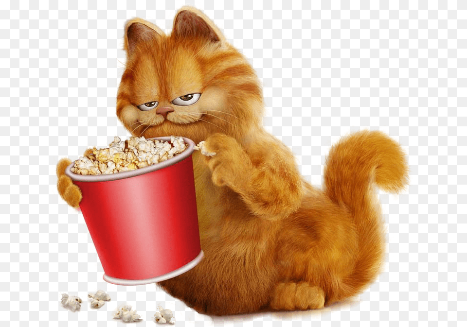 Garfield Cat, Animal, Mammal, Pet, Food Png