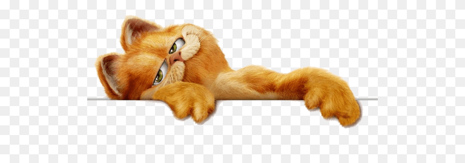 Garfield Header, Animal, Cat, Mammal, Pet Png