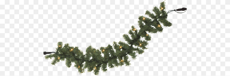 Garland, Plant, Tree, Pine, Christmas Free Png Download