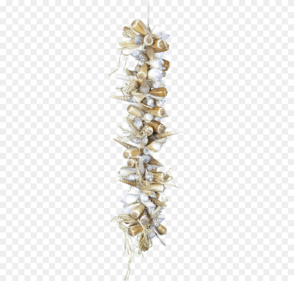Garland 21 Brown Shells Christmas Tree, Plant, Seashell, Sea Life, Animal Png