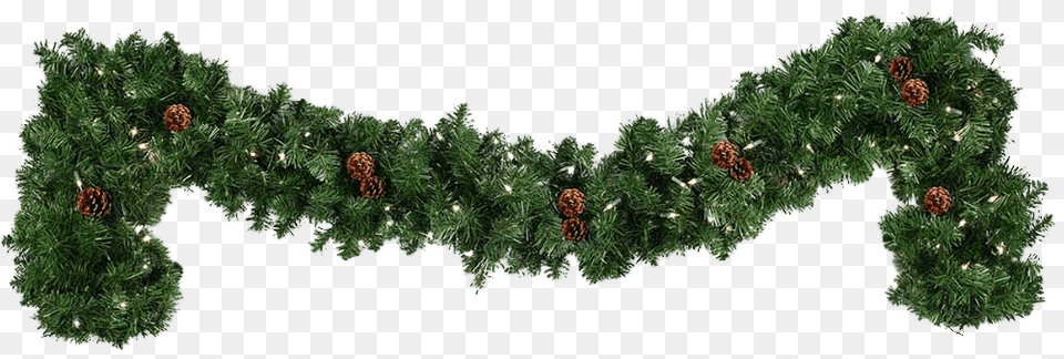 Garland Christmas, Conifer, Pine, Plant, Tree Free Png Download