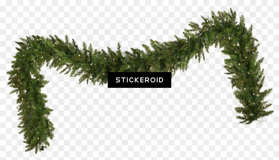 Garland Christmas Simple Christmas Garland Images, Moss, Plant, Tree, Grass Free Transparent Png