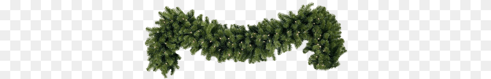 Garland Clipart Clear Background Christmas Garland No Background, Pine, Plant, Tree, Conifer Png Image