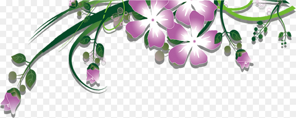 Garland Clipart Plant Cooktown Orchid, Art, Floral Design, Flower, Graphics Png Image