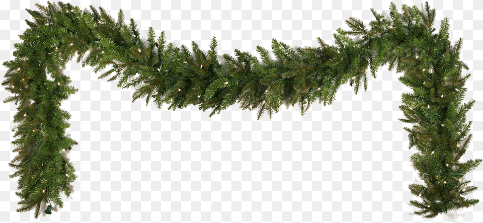 Garland File Real Christmas Garland, Moss, Plant, Tree, Fir Free Transparent Png