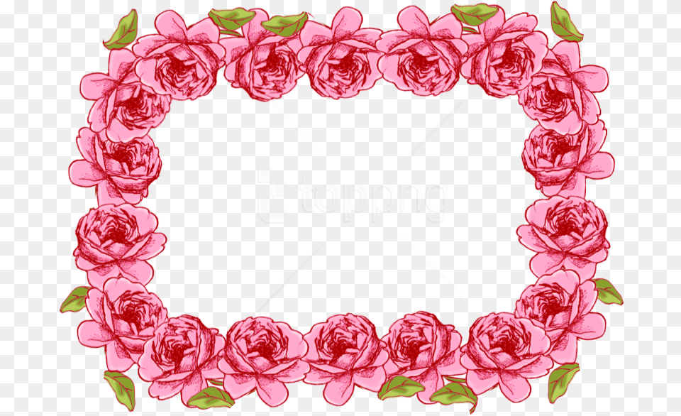 Garland Frame Portable Network Graphics, Flower, Plant, Rose, Petal Png Image