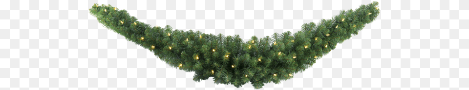 Garland Nebraska Garland, Plant, Tree, Pine, Christmas Free Transparent Png
