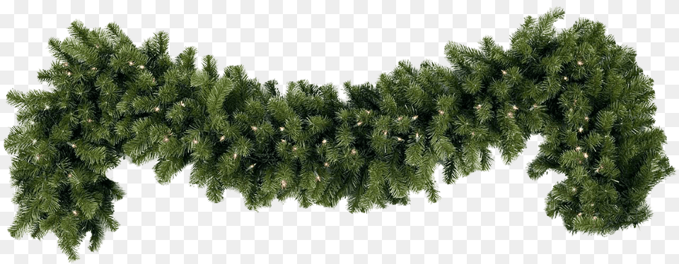 Garland Simple Christmas, Moss, Pine, Plant, Tree Free Png Download