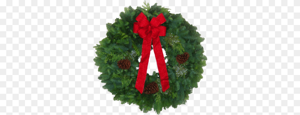 Garland Wreath, Plant, Tree, Animal, Bear Free Transparent Png