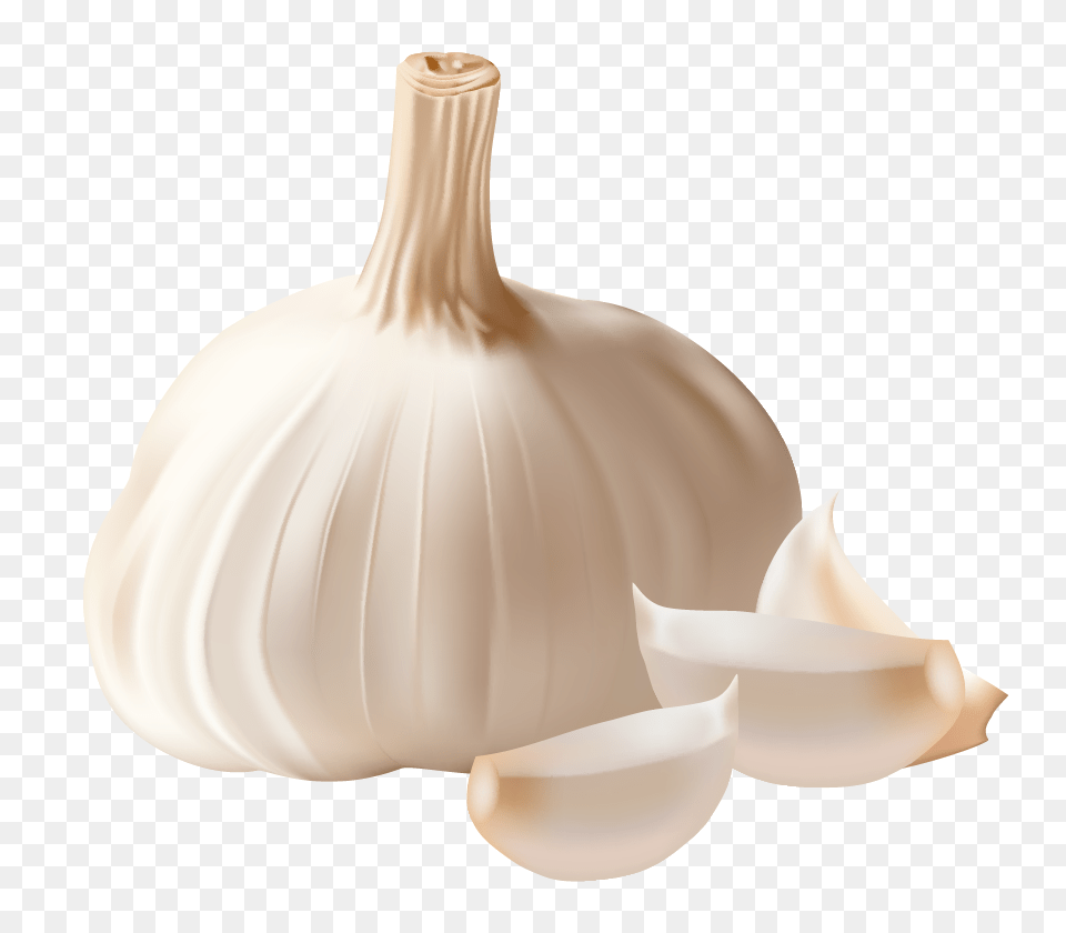 Garlic, Food, Produce, Plant, Vegetable Png Image