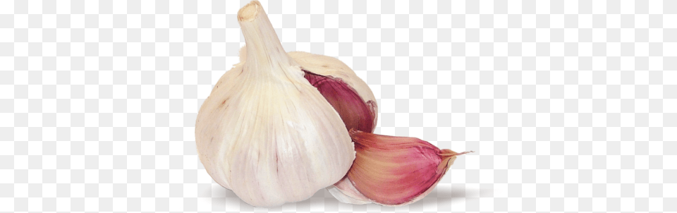 Garlic, Food, Produce, Plant, Vegetable Png Image