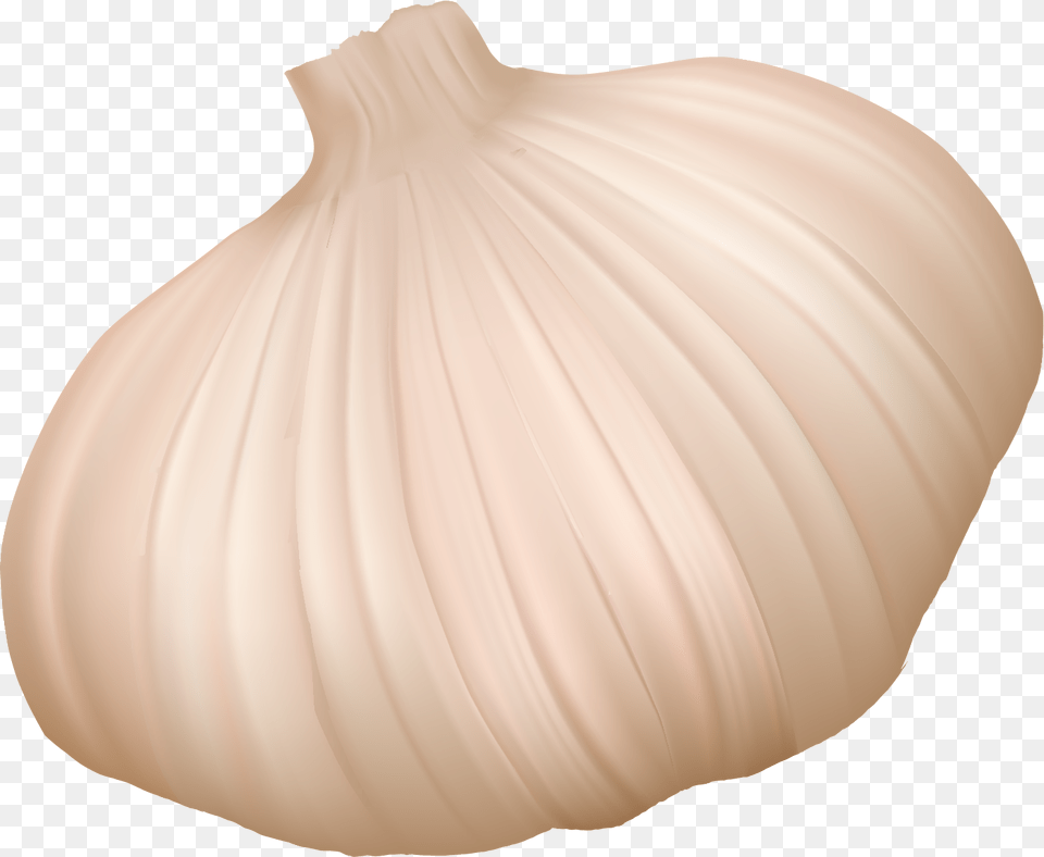 Garlic, Food, Produce, Vegetable, Plant Free Png