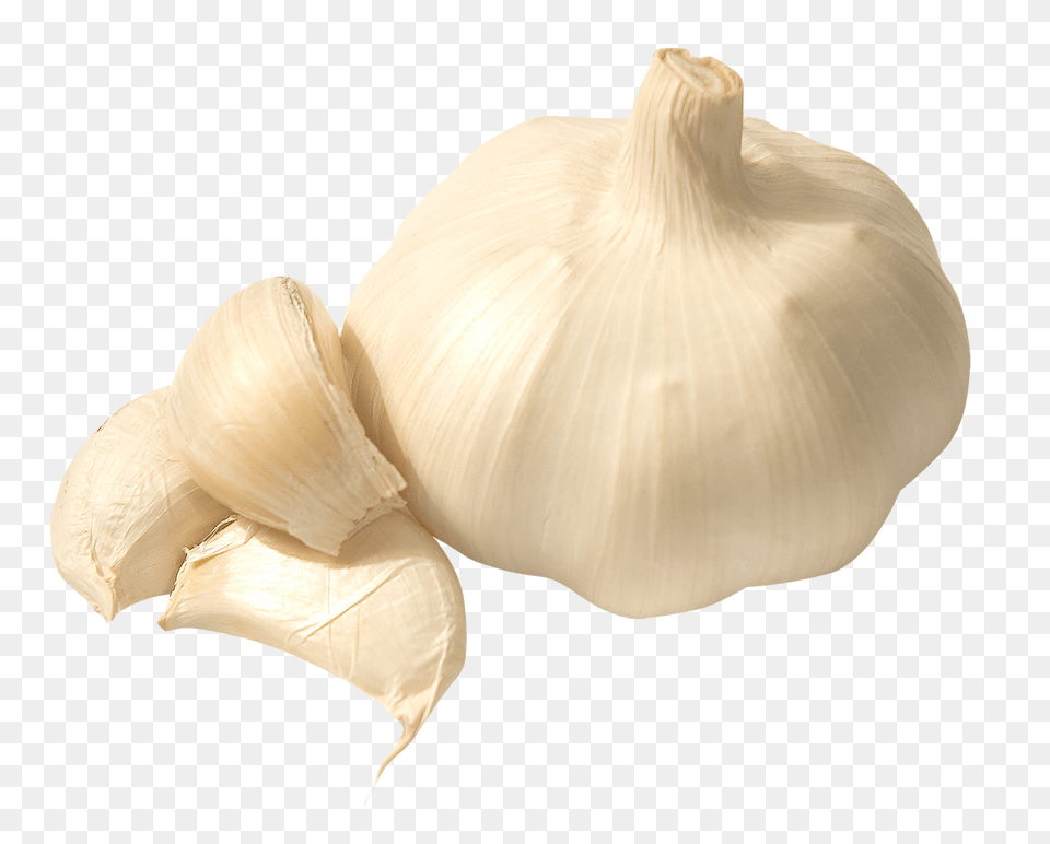 Garlic, Food, Produce, Plant, Vegetable Free Png